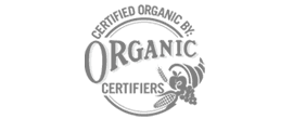 Mega menu – 908